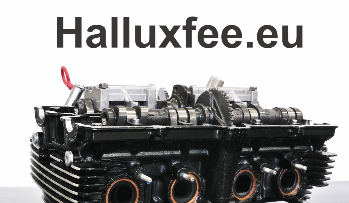 halluxfee.eu halluxfee.eu